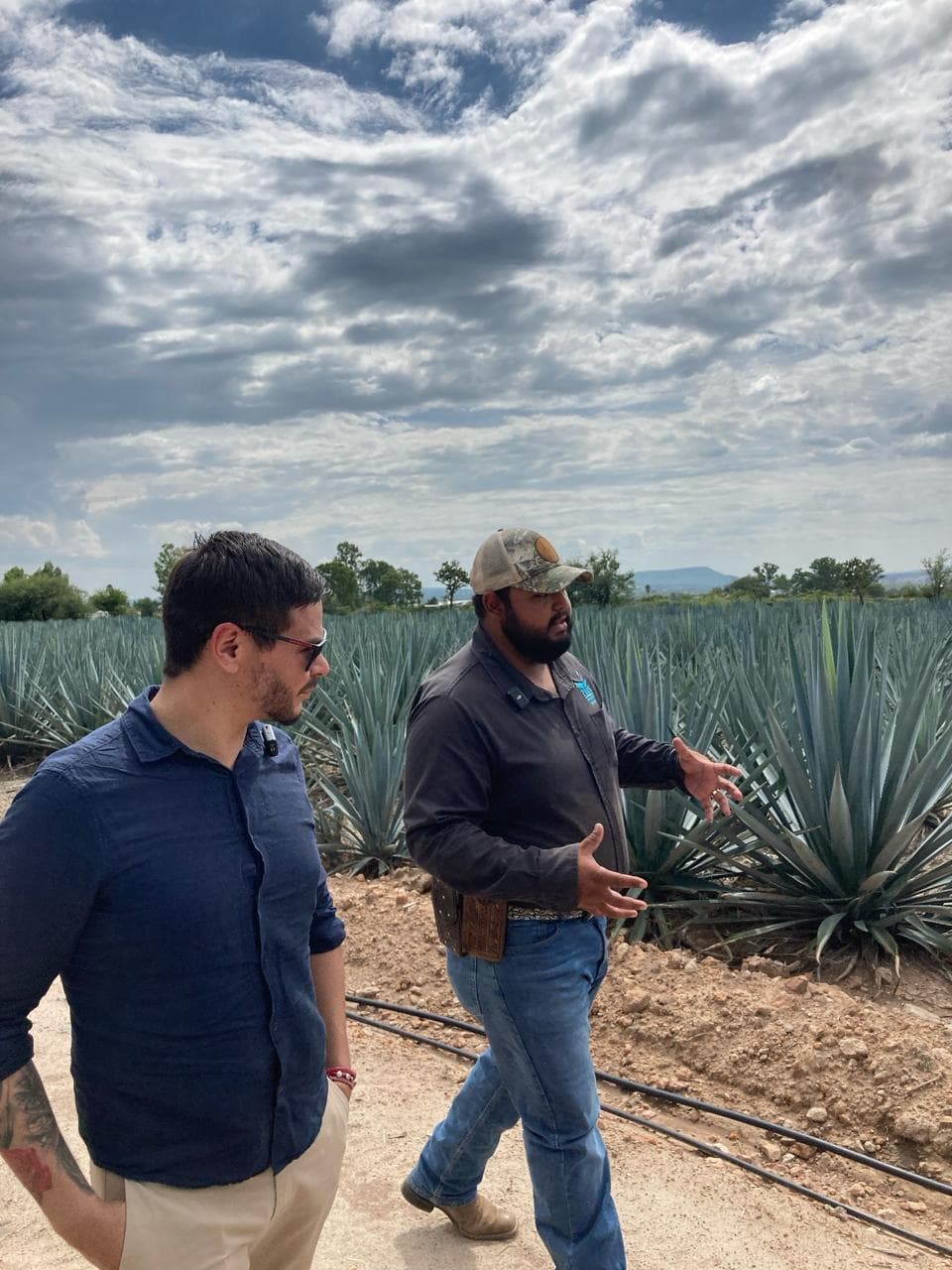 Expansi贸n de cultivos Zeus Agave